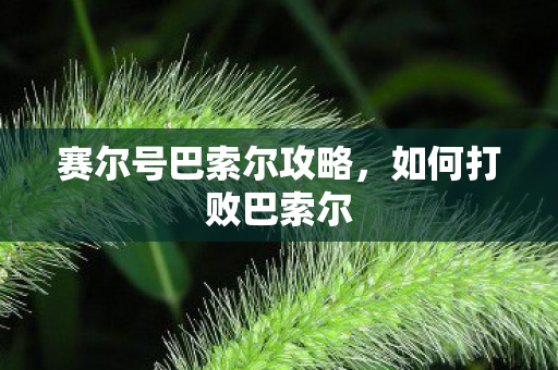 赛尔号巴索尔攻略图片