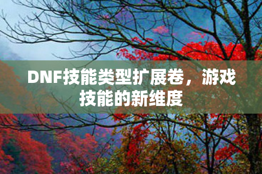 DNF技能类型扩展卷图片