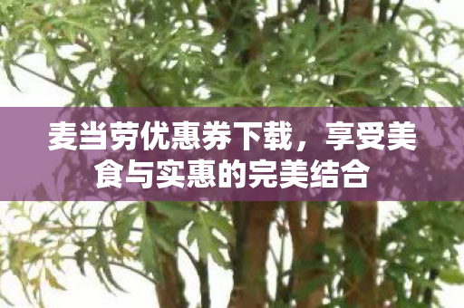 享受美食与实惠的完美结合图片