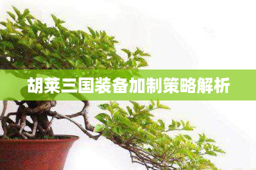 胡莱三国装备加制策略解析图片