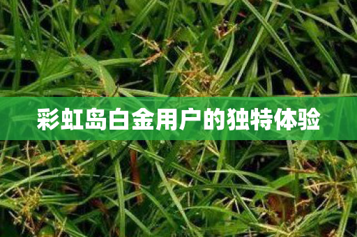 彩虹岛白金用户的独特体验图片