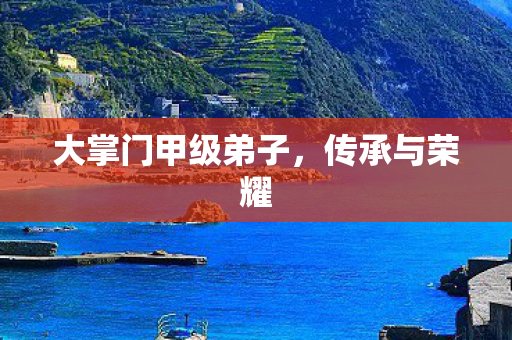 大掌门甲级弟子图片
