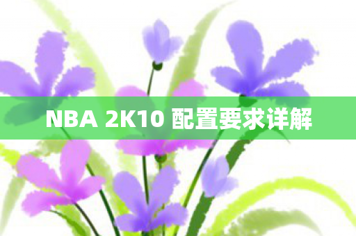 NBA 2K10 配置要求详解图片