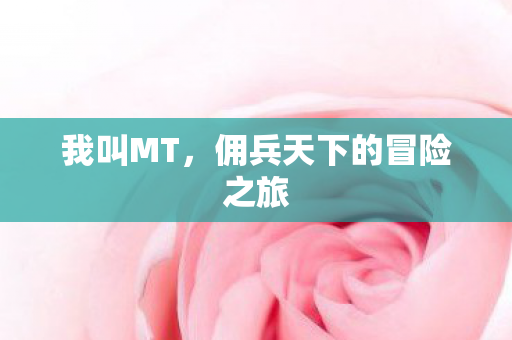 佣兵天下的冒险之旅图片