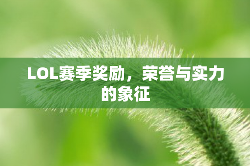 荣誉与实力的象征图片