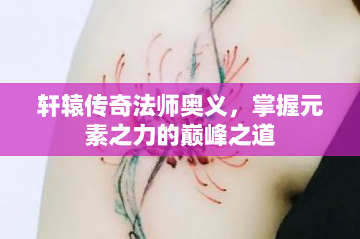 掌握元素之力的巅峰之道图片