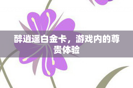 游戏内的尊贵体验图片