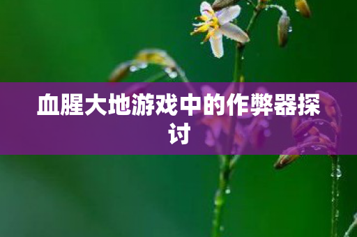 血腥大地游戏中的作弊器探讨图片