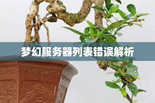 梦幻服务器列表错误解析图片