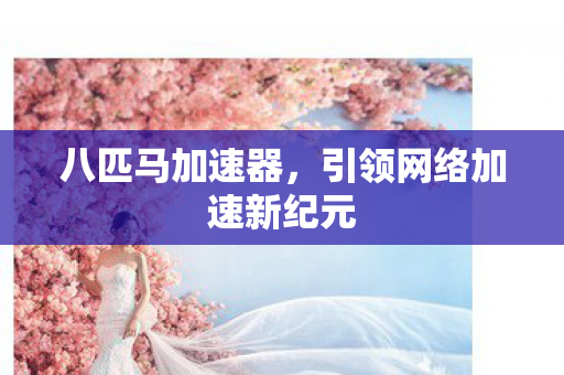 引领网络加速新纪元图片