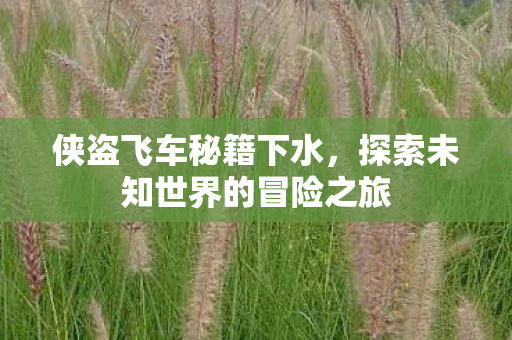 探索未知世界的冒险之旅图片