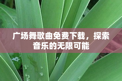 广场舞歌曲免费下载图片