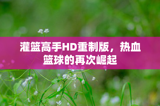 灌篮高手HD重制版图片