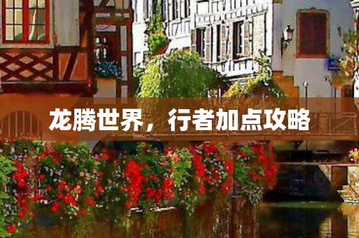 行者加点攻略图片