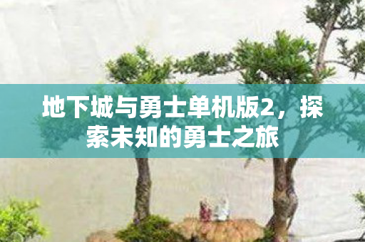 地下城与勇士单机版2图片