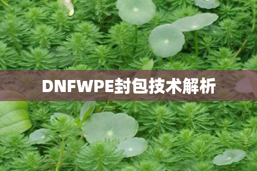 DNFWPE封包技术解析图片
