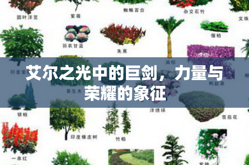 艾尔之光中的巨剑图片