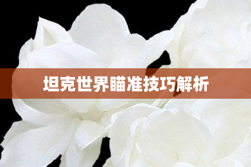 坦克世界瞄准技巧解析图片