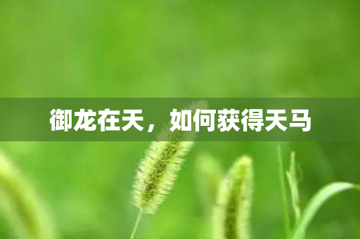 如何获得天马图片