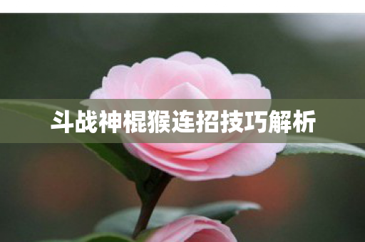 斗战神棍猴连招技巧解析图片
