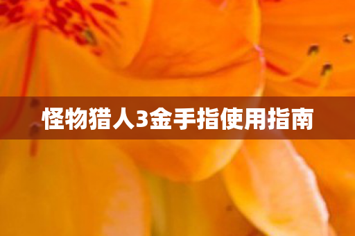 怪物猎人3金手指使用指南图片