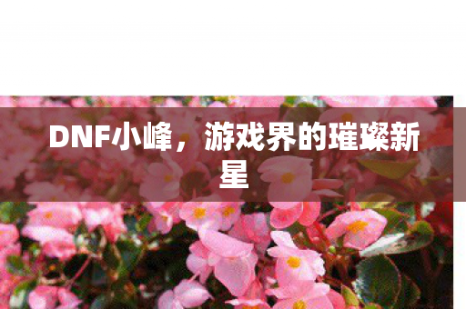 游戏界的璀璨新星图片