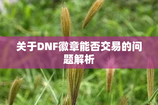 关于DNF徽章能否交易的问题解析图片