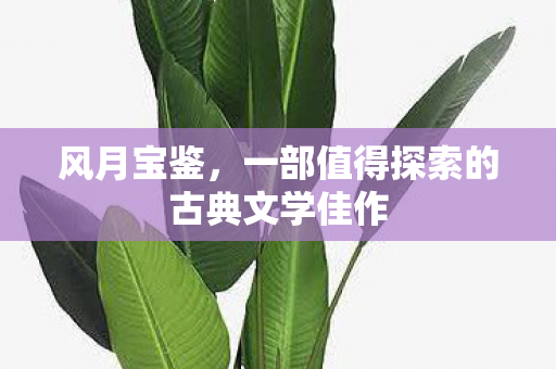 一部值得探索的古典文学佳作图片