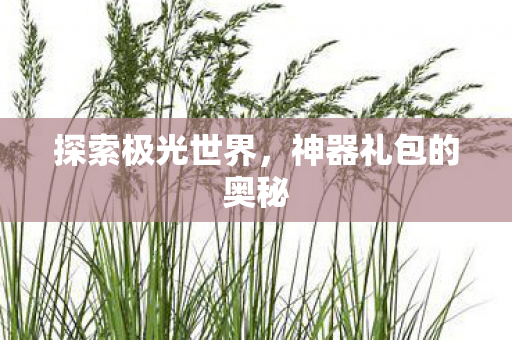 神器礼包的奥秘图片