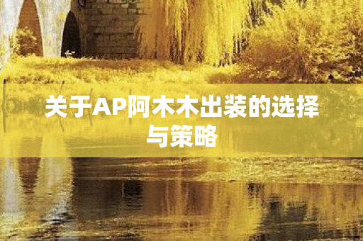关于AP阿木木出装的选择与策略图片