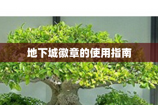地下城徽章的使用指南图片