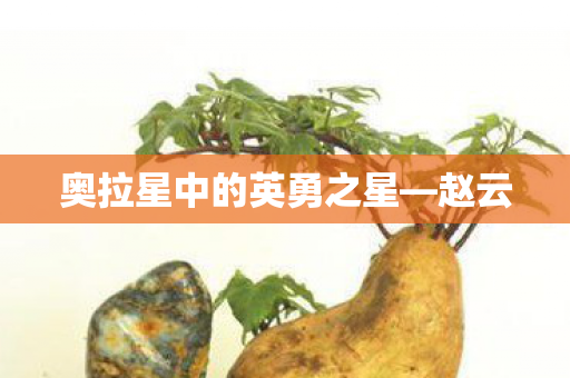 奥拉星中的英勇之星图片