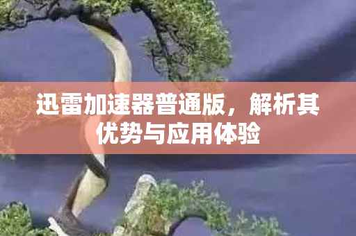 解析其优势与应用体验图片