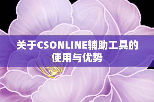 关于CSONLINE辅助工具的使用与优势图片