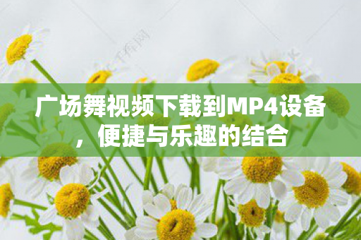 广场舞视频下载到MP4设备图片