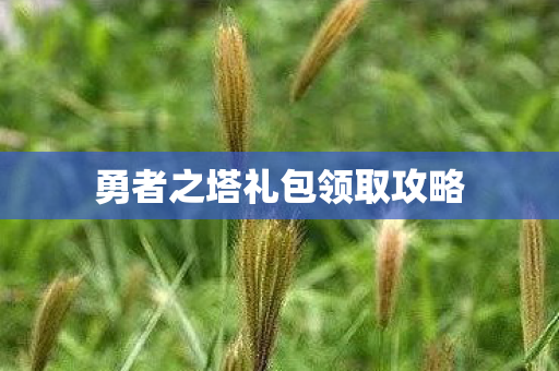 勇者之塔礼包领取攻略图片