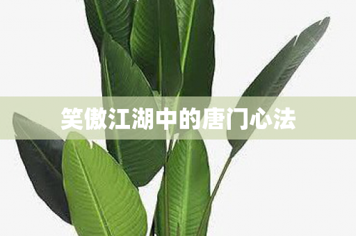 笑傲江湖中的唐门心法图片