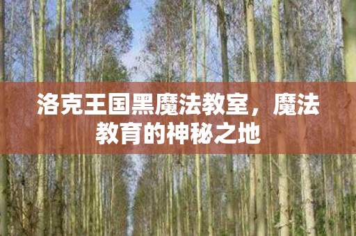 洛克王国黑魔法教室图片