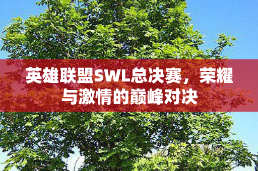 英雄联盟SWL总决赛图片