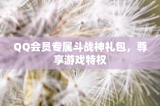 QQ会员专属斗战神礼包图片