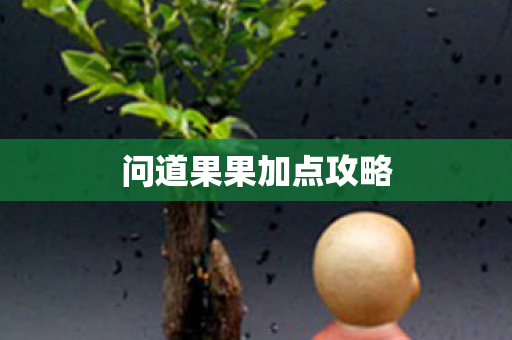 问道果果加点攻略图片