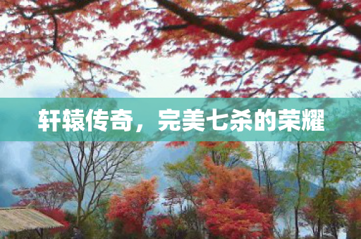 完美七杀的荣耀图片