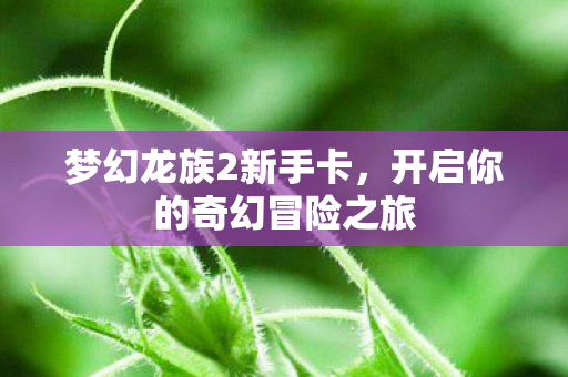开启你的奇幻冒险之旅图片