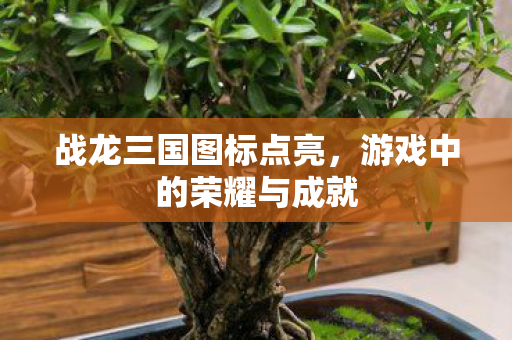 游戏中的荣耀与成就图片