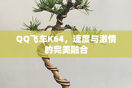 速度与激情的完美融合图片
