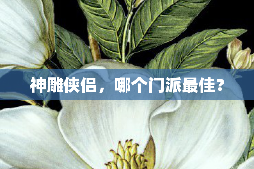 哪个门派最佳图片