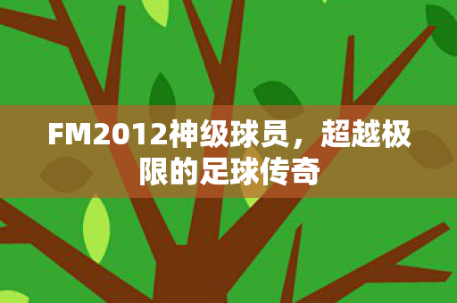 FM2012神级球员图片