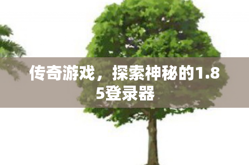 探索神秘的1图片