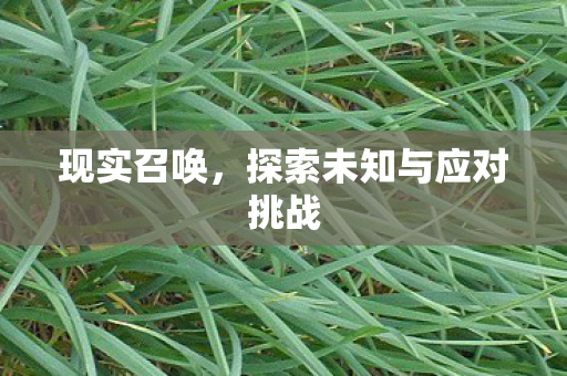 探索未知与应对挑战图片