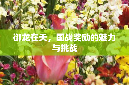 国战奖励的魅力与挑战图片